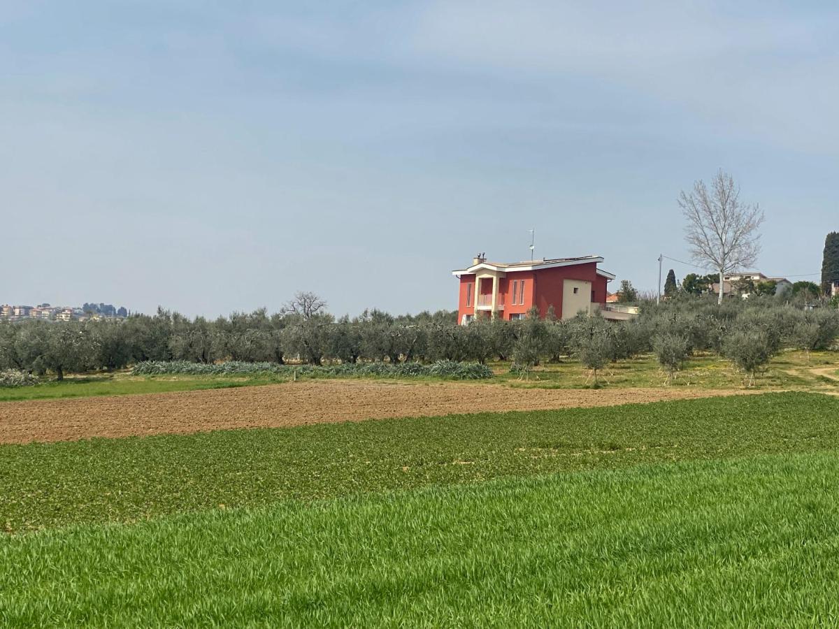 Olea B&B Montecosaro  Extérieur photo