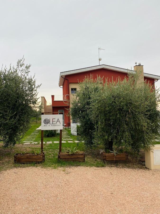 Olea B&B Montecosaro  Extérieur photo